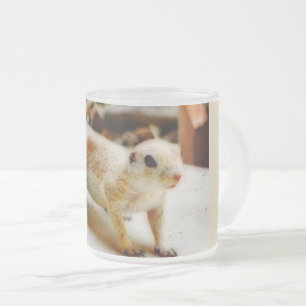 Baby-Grundeichhörnchen-mattierte Tasse