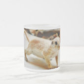 Baby-Grundeichhörnchen-mattierte Tasse (Mittel)