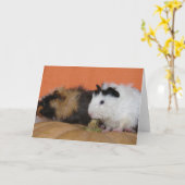 Baby Guinea Schweine auf Pumpkin Karte (Gelbe Blume)