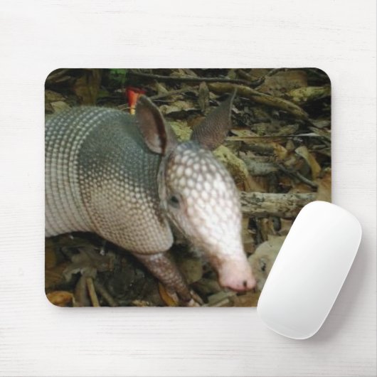 Baby-Gürteltier Mousepad (Mit Mouse)