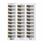 Baby Hamster (Vorne)