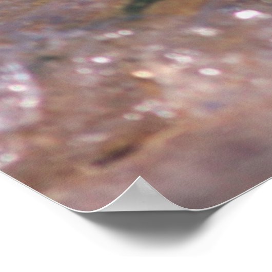 Baby Harbor Siegel Poster (Ecke)