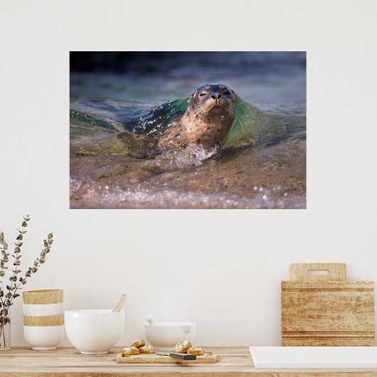 Baby Harbor Siegel Poster (Küche)