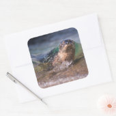 Baby Harbor Siegel Quadratischer Aufkleber (Umschlag)