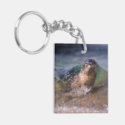 Baby Harbor Siegel Schlüsselanhänger (Vorderseite links)