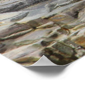 Baby Harbour Siegel, Bar Harbour, Maine Poster (Ecke)