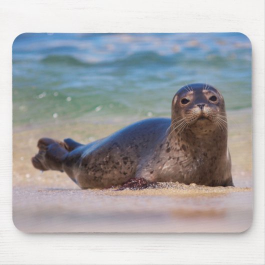 Baby Harbour Siegel in Water Mousepad (Vorne)