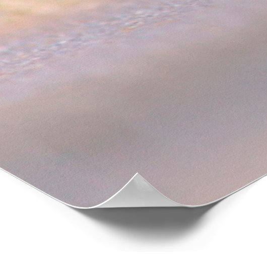 Baby Harbour Siegel in Water Poster (Ecke)