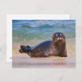 Baby Harbour Siegel in Water Postkarte (Vorne/Hinten)