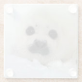 Baby-Harfen-Siegel Glasuntersetzer (Rückseite)