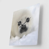 Baby-Harfen-Siegel Quadratische Wanduhr (Winkel)