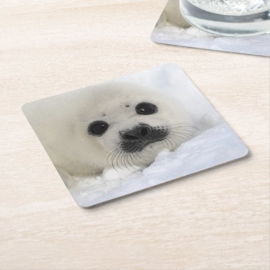 Baby-Harfen-Siegel Rechteckiger Pappuntersetzer (angewinkelt)