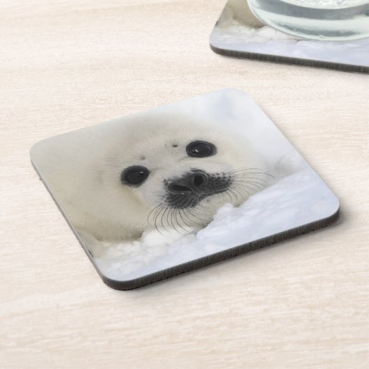 Baby-Harfen-Siegel Untersetzer (Linke Seite)