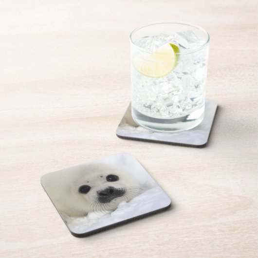 Baby-Harfen-Siegel Untersetzer (Rechte Seite)