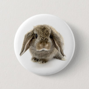 Baby-Häschen Button