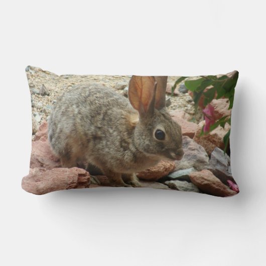 Baby-Häschen im Sedona Felsen-Akzent-Wurfs-Kissen Lendenkissen (Vorderseite)