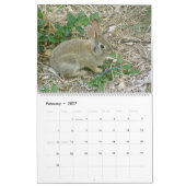 Baby-Häschen-Kalender 2010-2011 Kalender (Feb 2027)