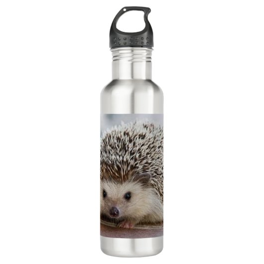 Baby-Hedgehog Edelstahlflasche (Vorderseite)