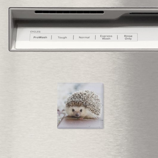 Baby-Hedgehog Magnet (In Situ (Geschirrspüler))