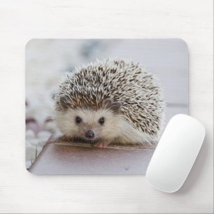 Baby-Hedgehog Mousepad