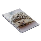 Baby-Hedgehog Notizblock (Rechte Seite)
