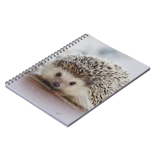 Baby-Hedgehog Notizblock (Linke Seite)