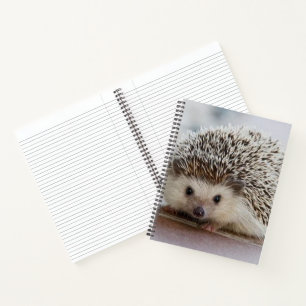 Baby-Hedgehog Notizblock