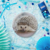 Baby-Hedgehog Pappteller (Party)