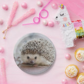 Baby-Hedgehog Pappteller (Party)