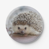 Baby-Hedgehog Pappteller (Vorderseite)