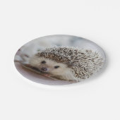 Baby-Hedgehog Pappteller (Schrägansicht)