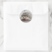 Baby-Hedgehog Runder Aufkleber (Tasche)