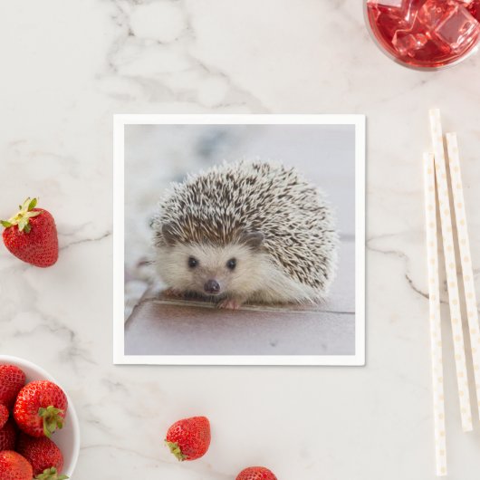 Baby-Hedgehog Serviette (Beispiel)