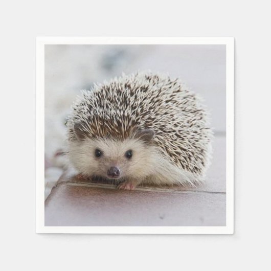 Baby-Hedgehog Serviette (Vorderseite)