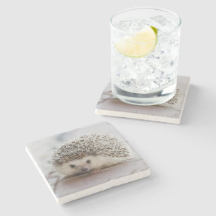 Baby-Hedgehog Steinuntersetzer