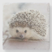 Baby-Hedgehog Steinuntersetzer (Vorderseite)