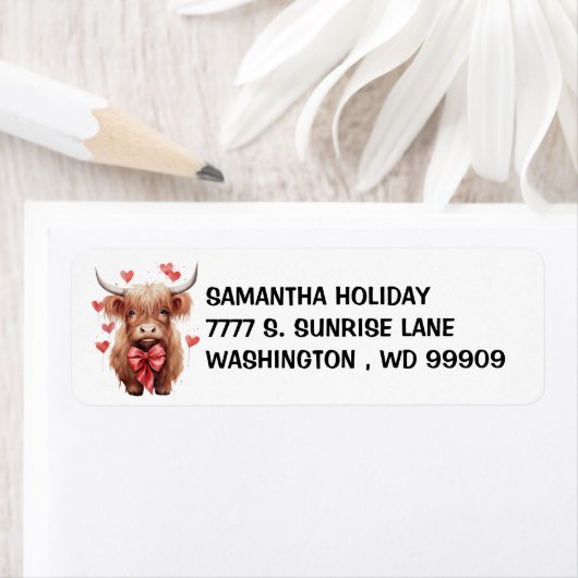 Baby Highland Cow Liebe Valentine (Insitu)