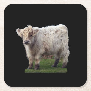 Baby Highland-Rind Süßes Schottisches Kalb landwir Rechteckiger Pappuntersetzer