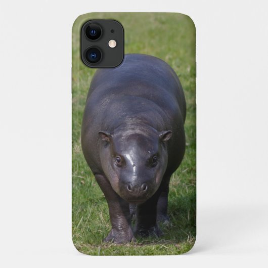 Baby Hippo iPhone 11 Fall Case-Mate iPhone Hülle (Rückseite)