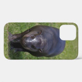 Baby Hippo iPhone 12 Fall Case-Mate iPhone Hülle (Rückseite (Horizontal))