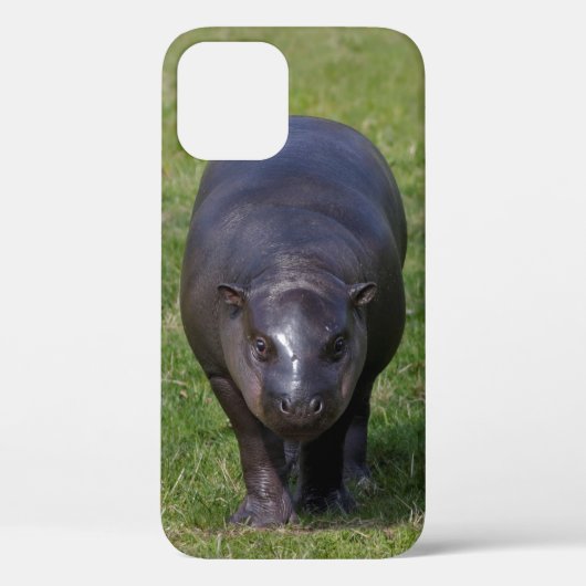 Baby Hippo iPhone 12 Fall Case-Mate iPhone Hülle (Rückseite)
