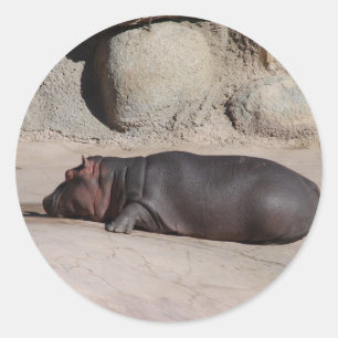 Baby Hippo Runder Aufkleber