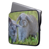 Baby-Holland-Schmierölniederdruck-Häschen - Laptopschutzhülle (Vorderseite Links)