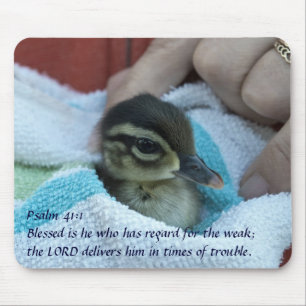 Baby-hölzerne Ente Mousepad