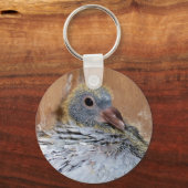 Baby Homing Taube Schlüsselanhänger (Vorderseite)