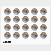 Baby Homing Taube Stickers (Blatt)