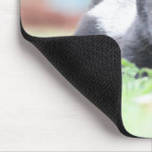 Baby-Honigdachs Mousepad (Ecke)