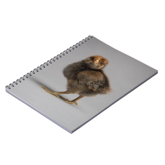 Baby-Huhn Notizblock (Linke Seite)