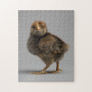 Baby-Huhn Puzzle