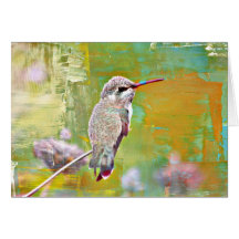 Baby Hummer im Pastell